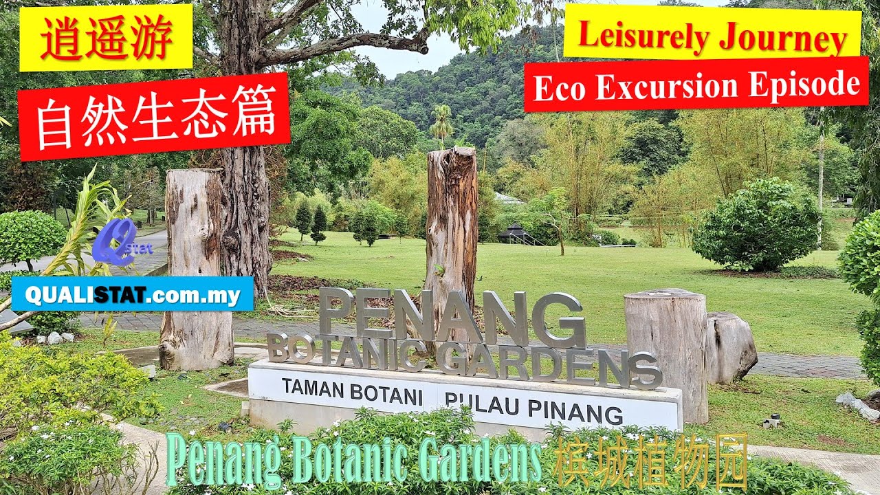 Excursion Episode – Penang Botanic Gardens | 槟城植物园