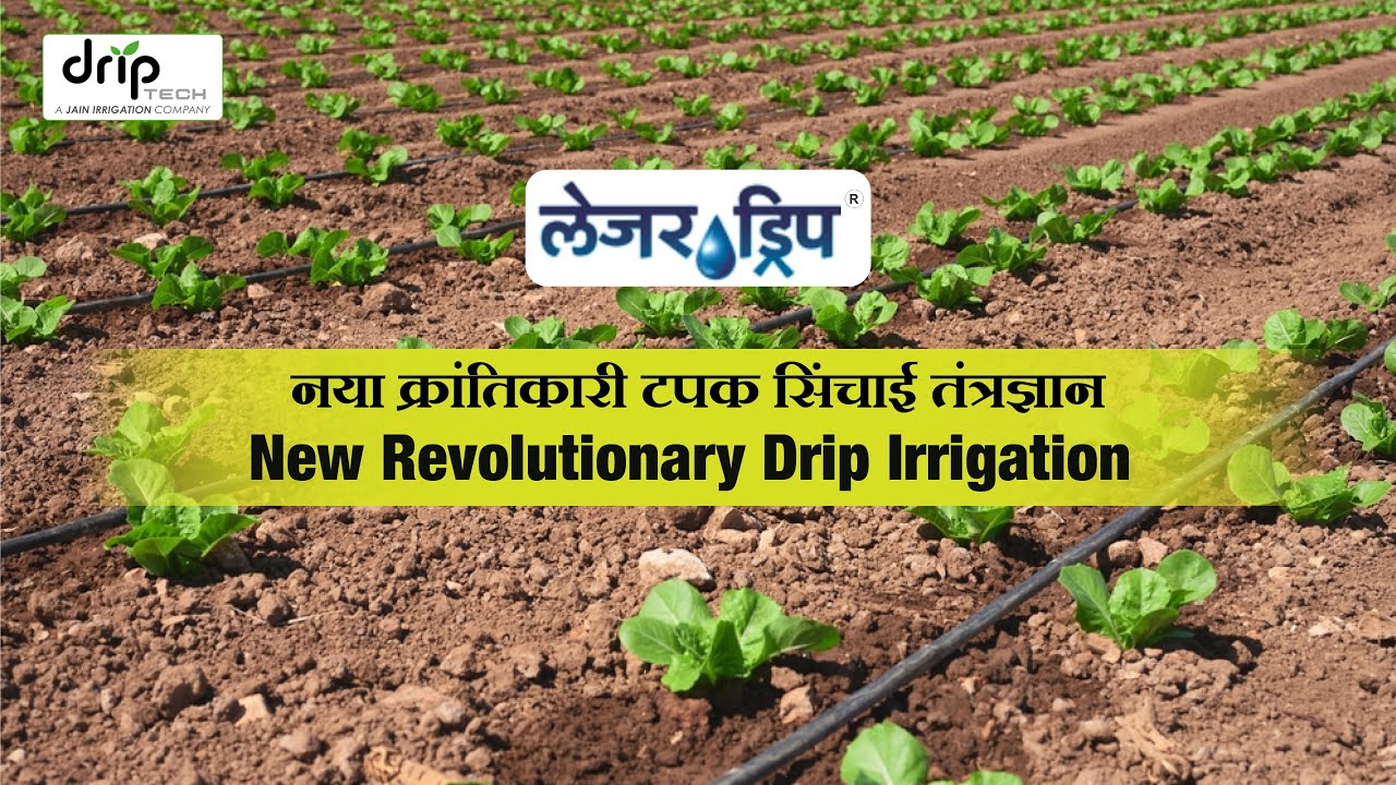 नई क्रांतिकारी लेजर ड्रिप सिंचाई | New Revolutionary Laser Drip Irrigation.