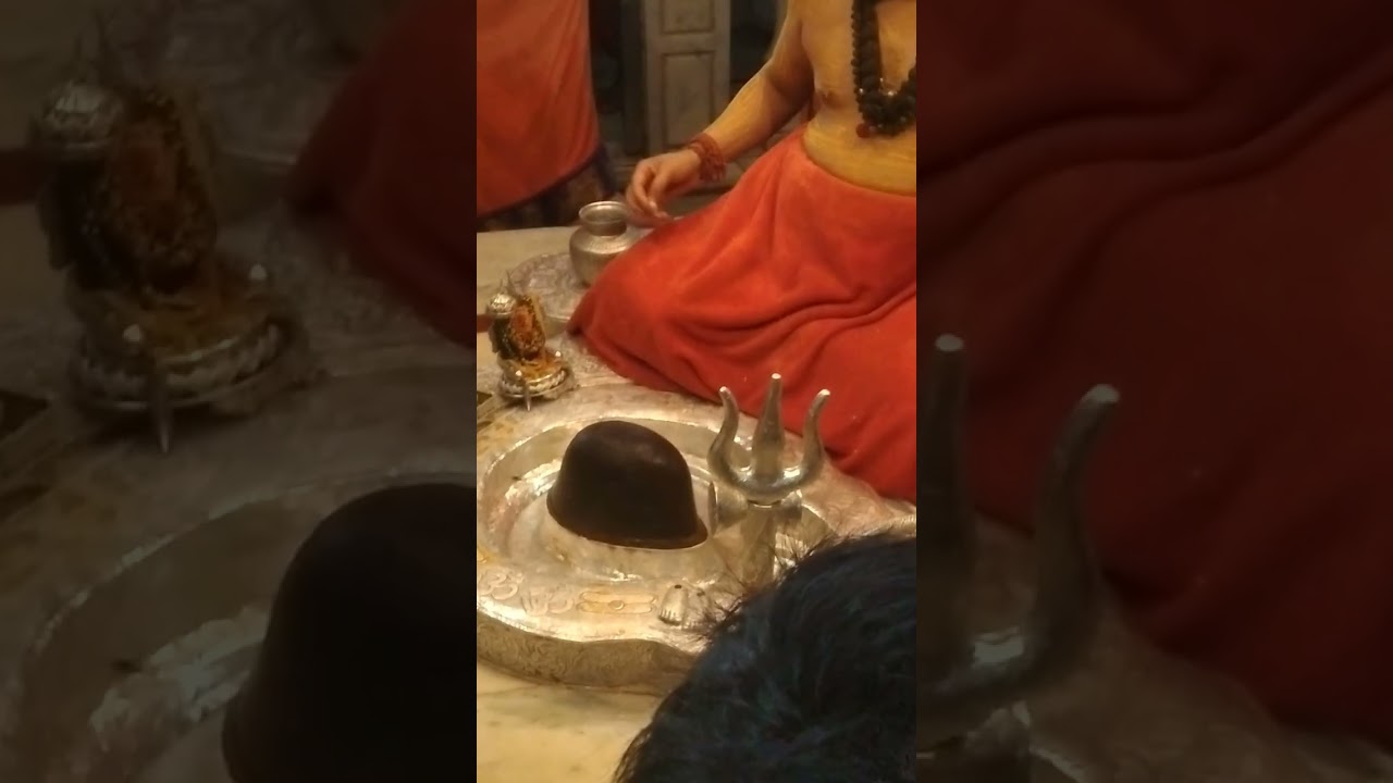 सावन की अंतिम तिथि को भोले नाथ का रुद्राभिषेक का दर्शन 