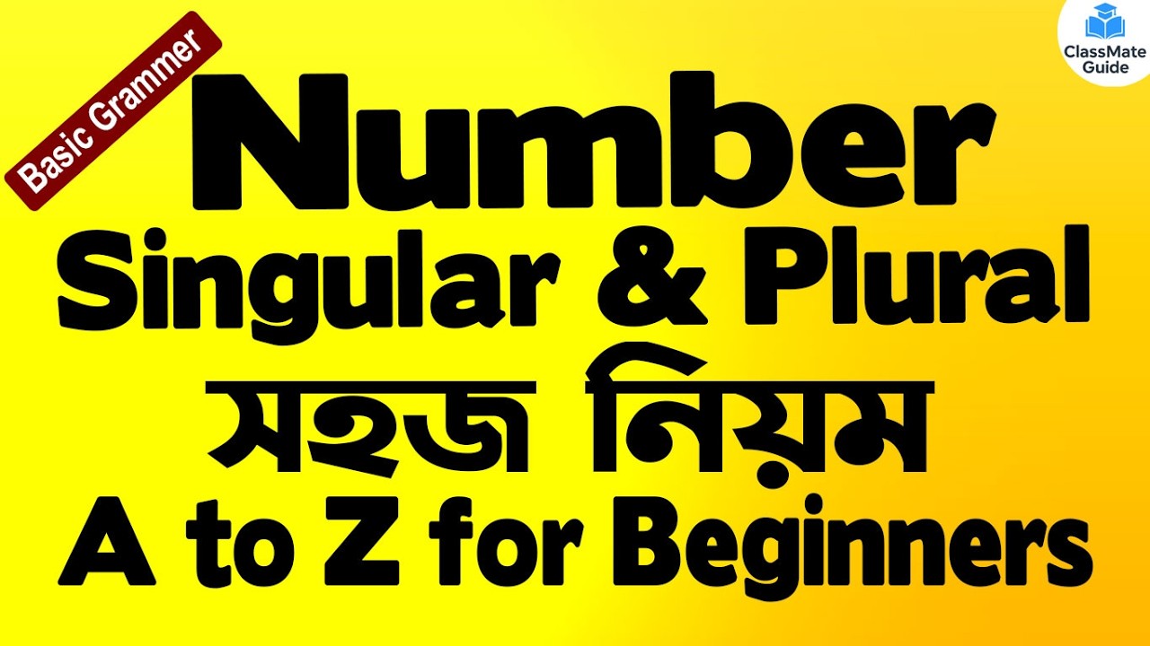Number বা বচন কাকে বলে? কত প্রকার ও কী কী? Singular থেকে Plural করার সহজ নিয়ম