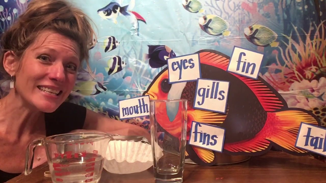 🐠 ‘How Do Fish Breathe?’ Science Experiment