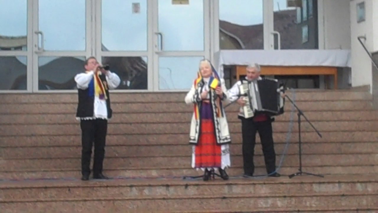 Sava Negrean Brudascu 1 Decembrie 2016 Medias 1