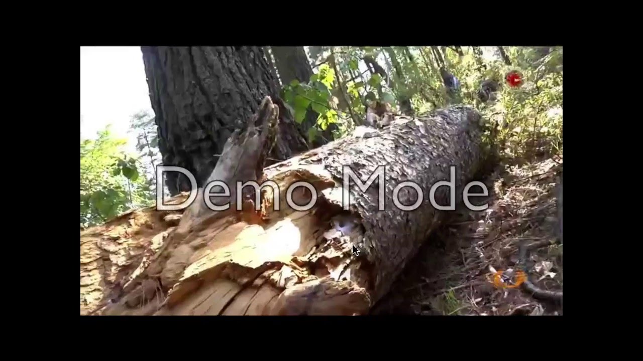 Cherán 5 años del Levantamiento 2016