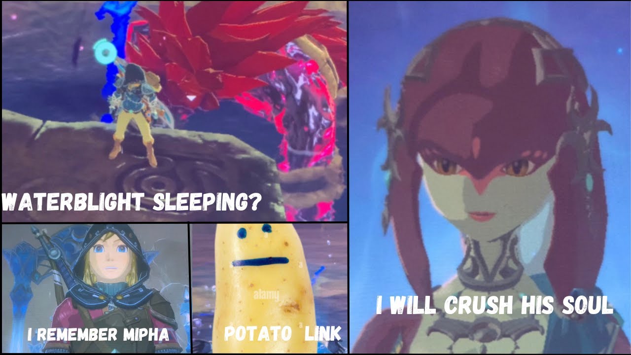 Mipha Watching Link be Like
