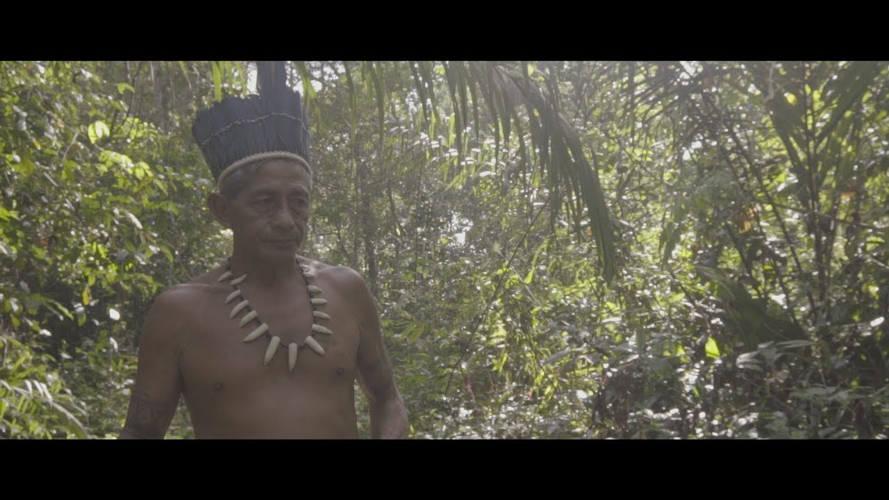 Moldado em &Aacute;gua - Retratos do Baixo Tapaj&oacute;s