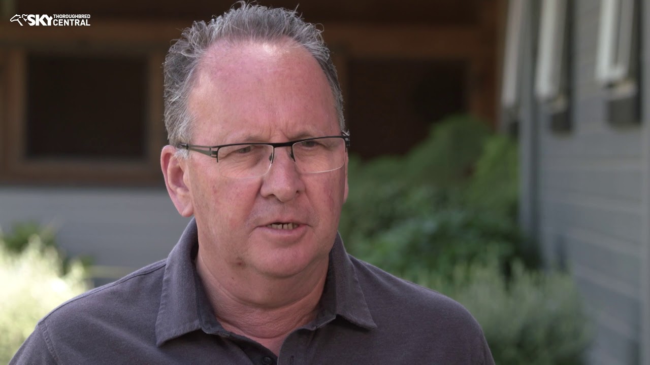 SEARCYMEDIA 2020 NZB YEARLING SALE PREVIEW PART 1 SEG 4