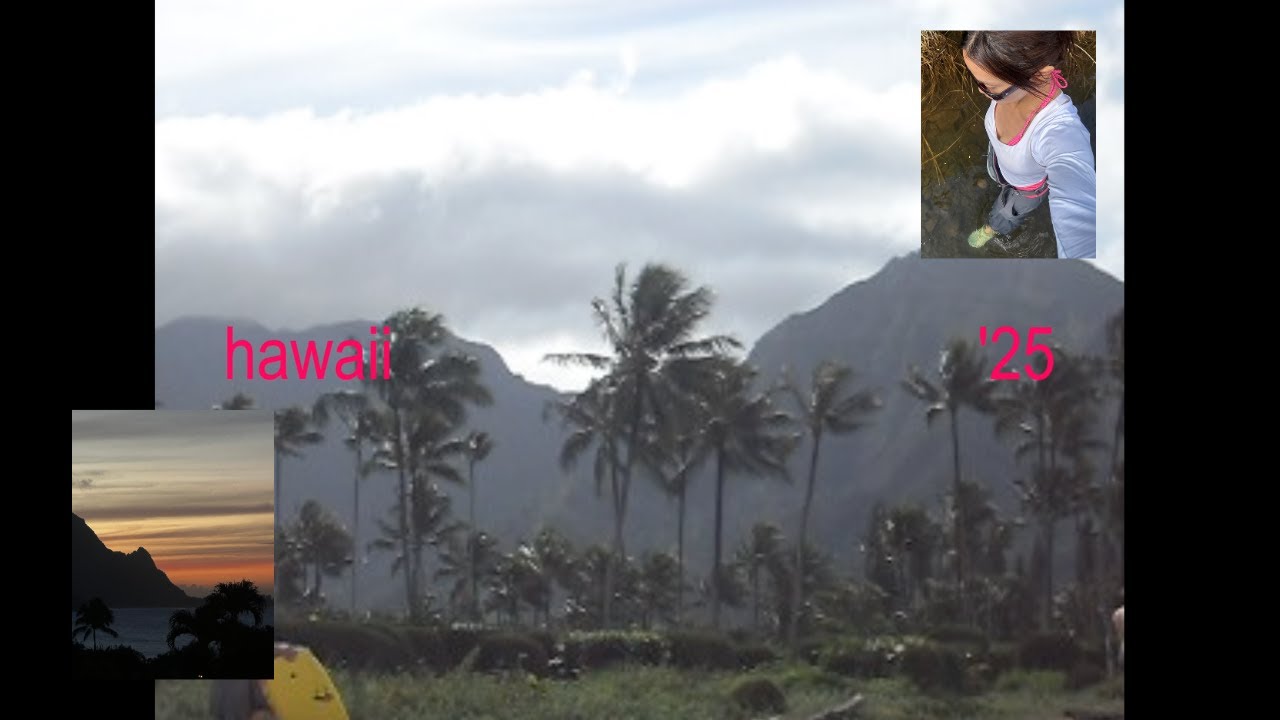 family reunion in hawaii | exploring Kauaʻi and getting a refresh away from city life  ˚˖𓍢ִ໋❀