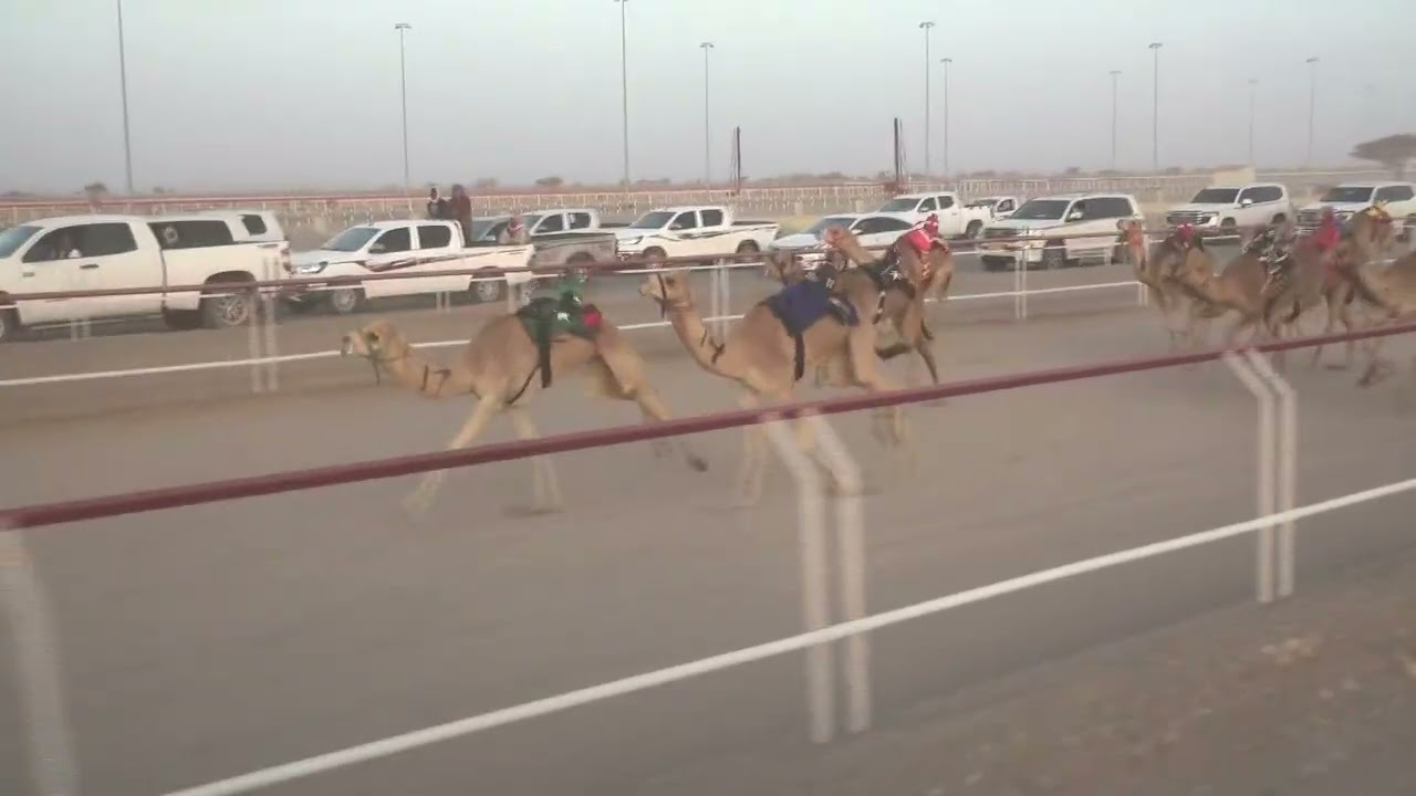 ش3 نجدين لــ علي بن سليمان الجنيبي2:13