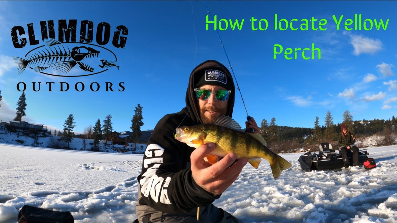 Tips on how to locate Perch through the ice
