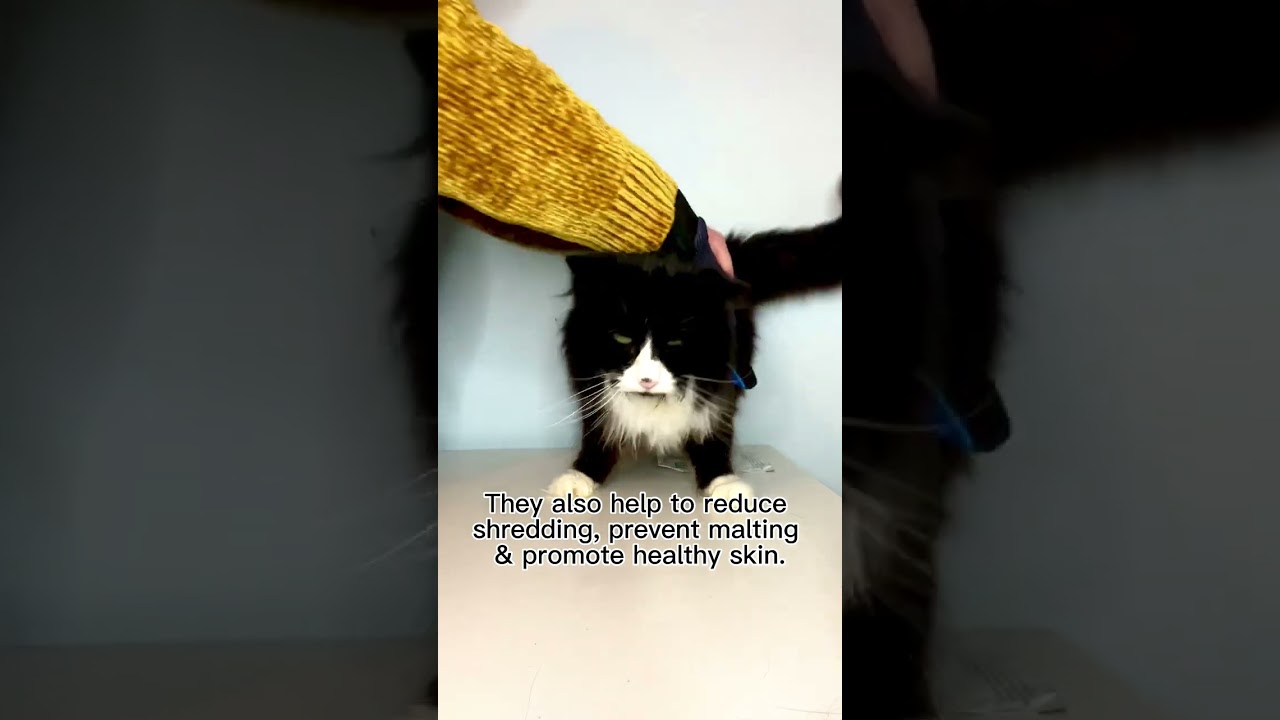 Pet Grooming Gloves for your Cat/Dog