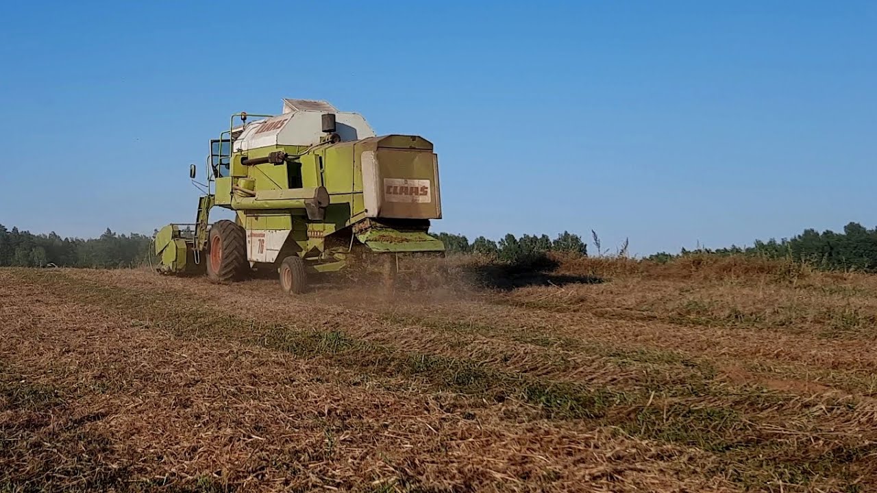 ŽIRNIŲ kūlimas, o gal arimas?