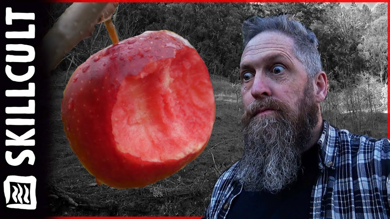 New Year's Eve Apple Tasting! Excellent Winter Hanging Apples + Weird Banana Apple