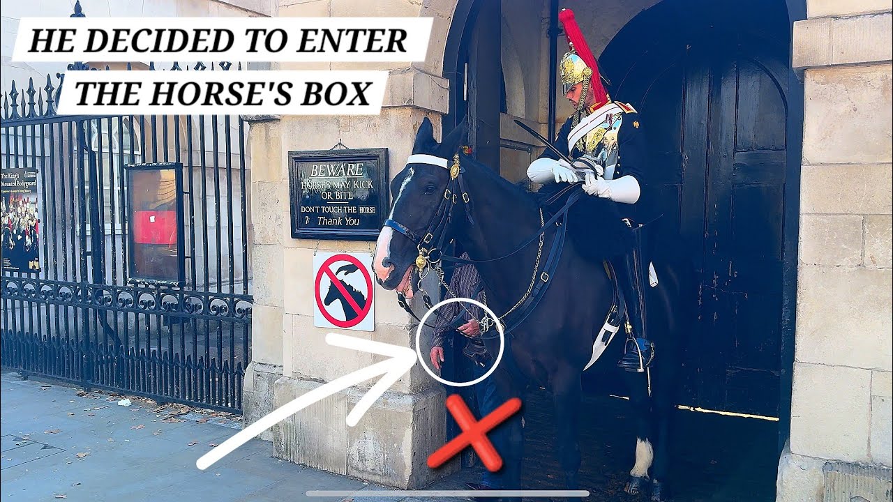 He Enters the Horse's Box, and This Happens at Horse Guards in London