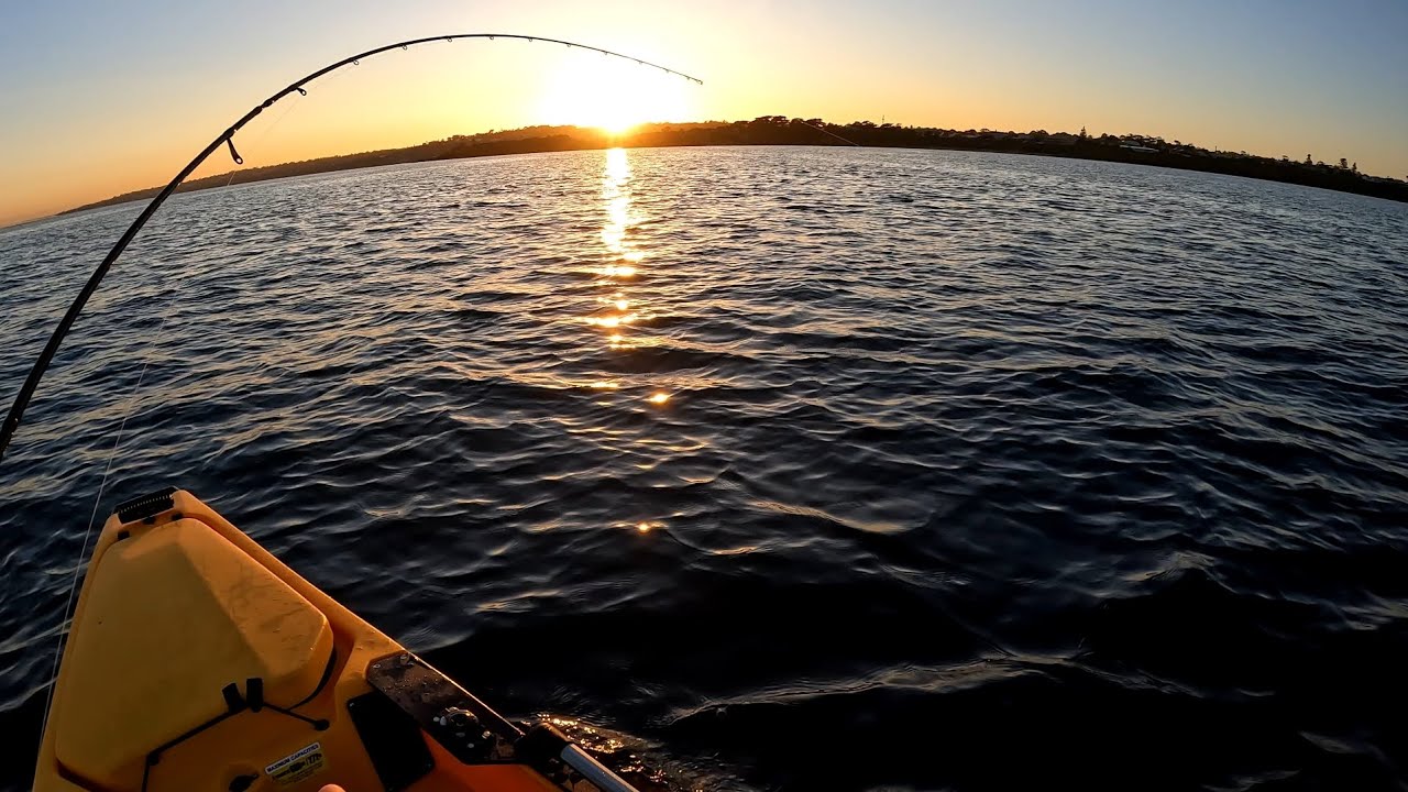 Bay Trout (kahawai) fishing - Zenaq Plaisir PA75