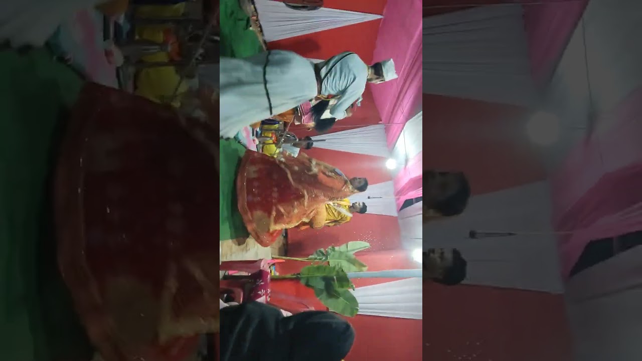 জয় মা মনসা 🙏🌺 ভিডিওটি ভালো লাগলে লাইক কমেণ্ট শিয়াৰ কৰবেন এবং পাশে তাকবেন ☎️7099528037