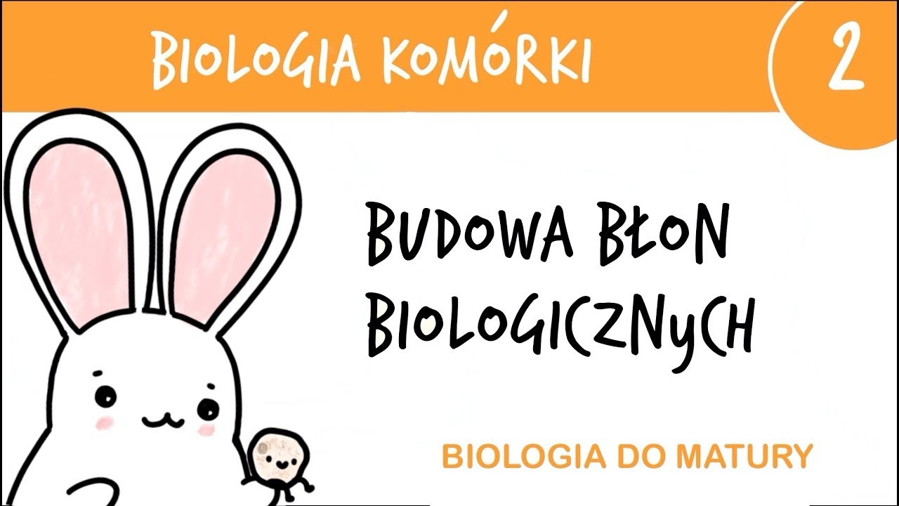 Cytologia 2 - Budowa błon biologicznych, błony komórkowe - biologia liceum poziom rozszerzony matura