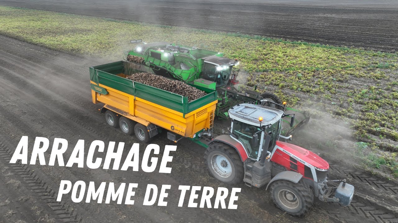 Arrachage de pomme de terre dans les landes AVR puma/massey ferguson/johndeere/case ih