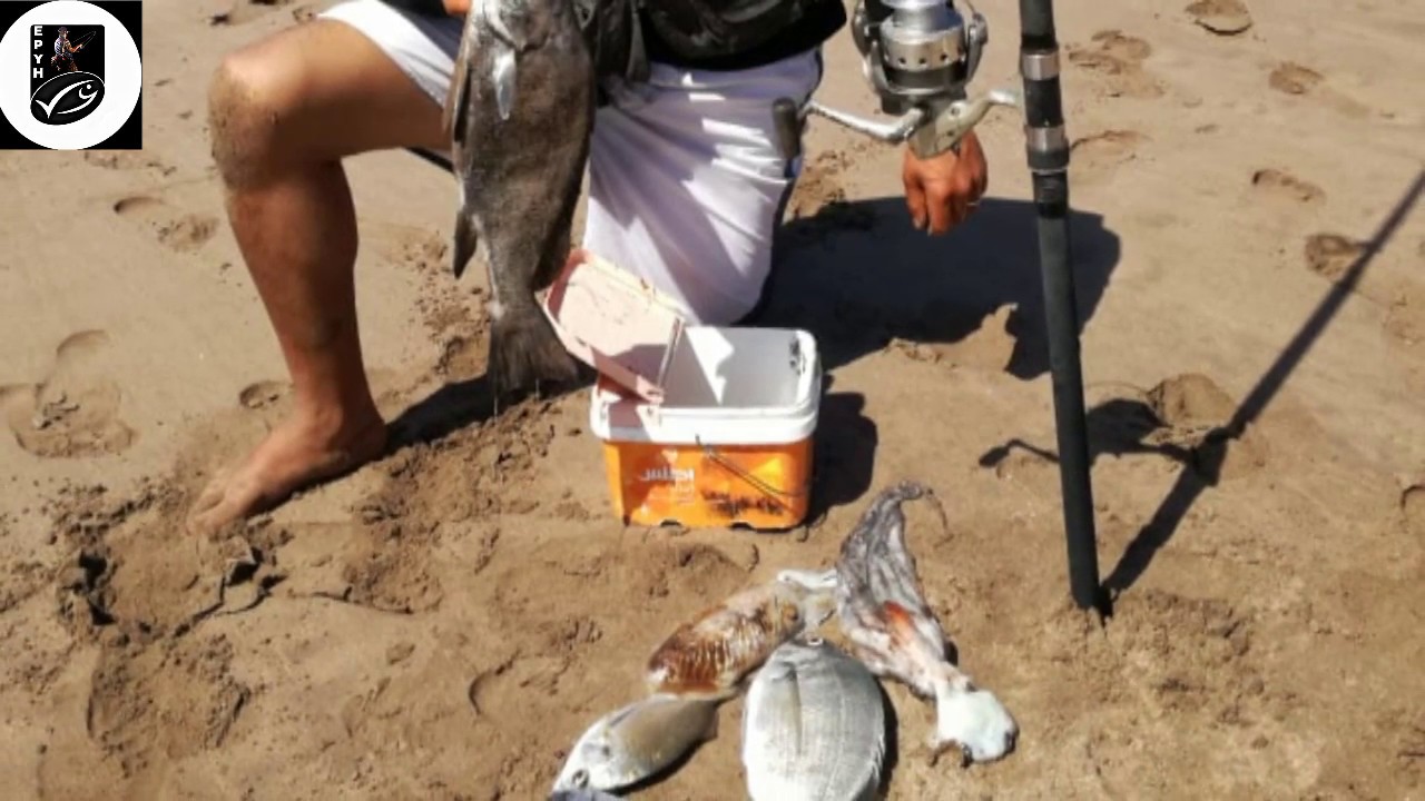 نصائح جد مهمة حول اختيار مكان وزمان الصيد pêche