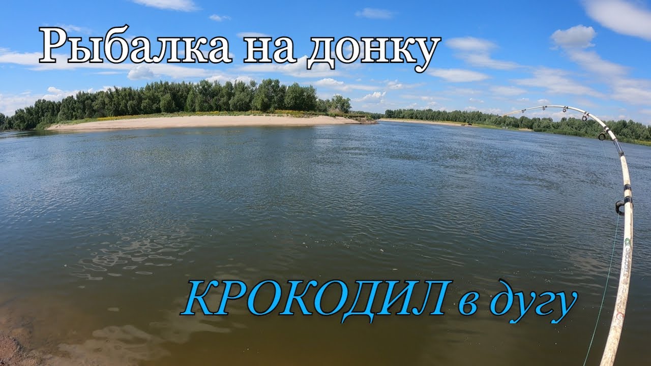 Рыбалка на донки река АХТУБА.В прилове САЗАН,карась,СУДАК и много ЧЕХОНИ.