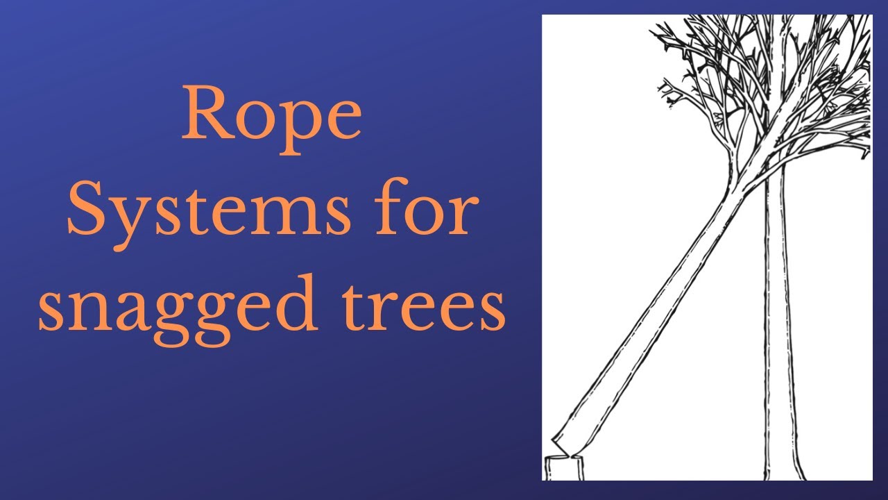 Snagged Trees and Mechanical Advantage