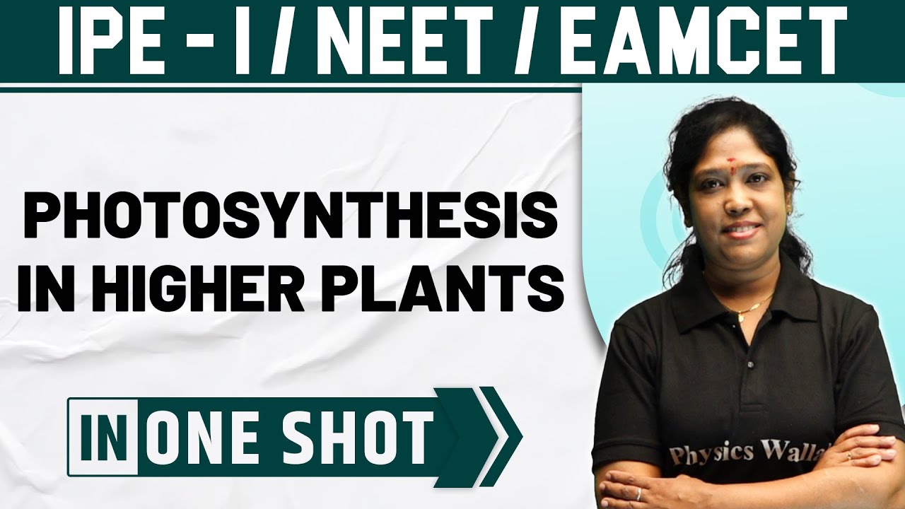PHOTOSYNTHESIS IN HIGHER PLANTS | One Shot | Botany | Class 11/NEET/EAMCET