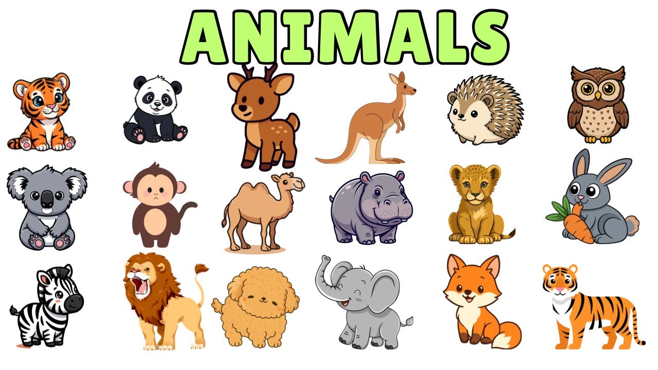 20 Animals Names for Kids | Animals Names for baby
