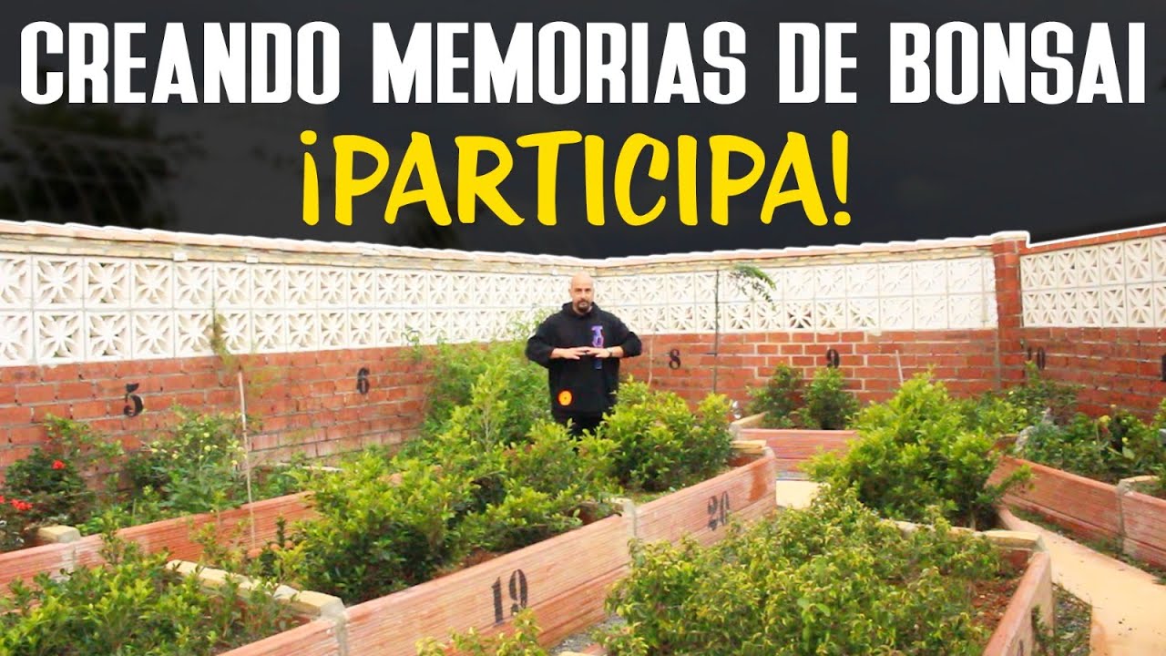 El taller más especial de Kaeru-En - Participa!