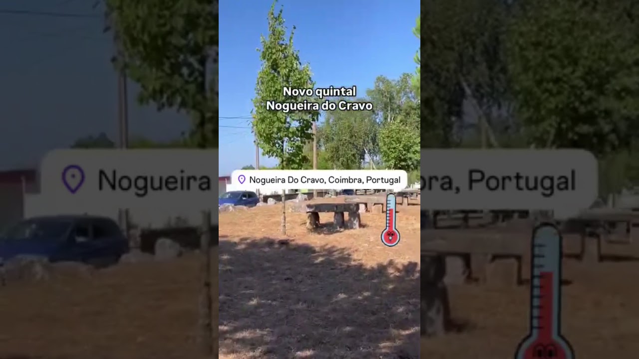 Novo quintal - Nogueira do Cravo - Portugal