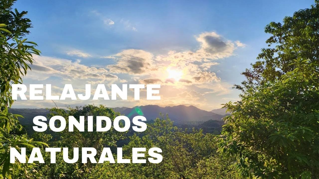 MÚSICA RELAJANTE PARA Descansar; ansiedad,estrés,domir