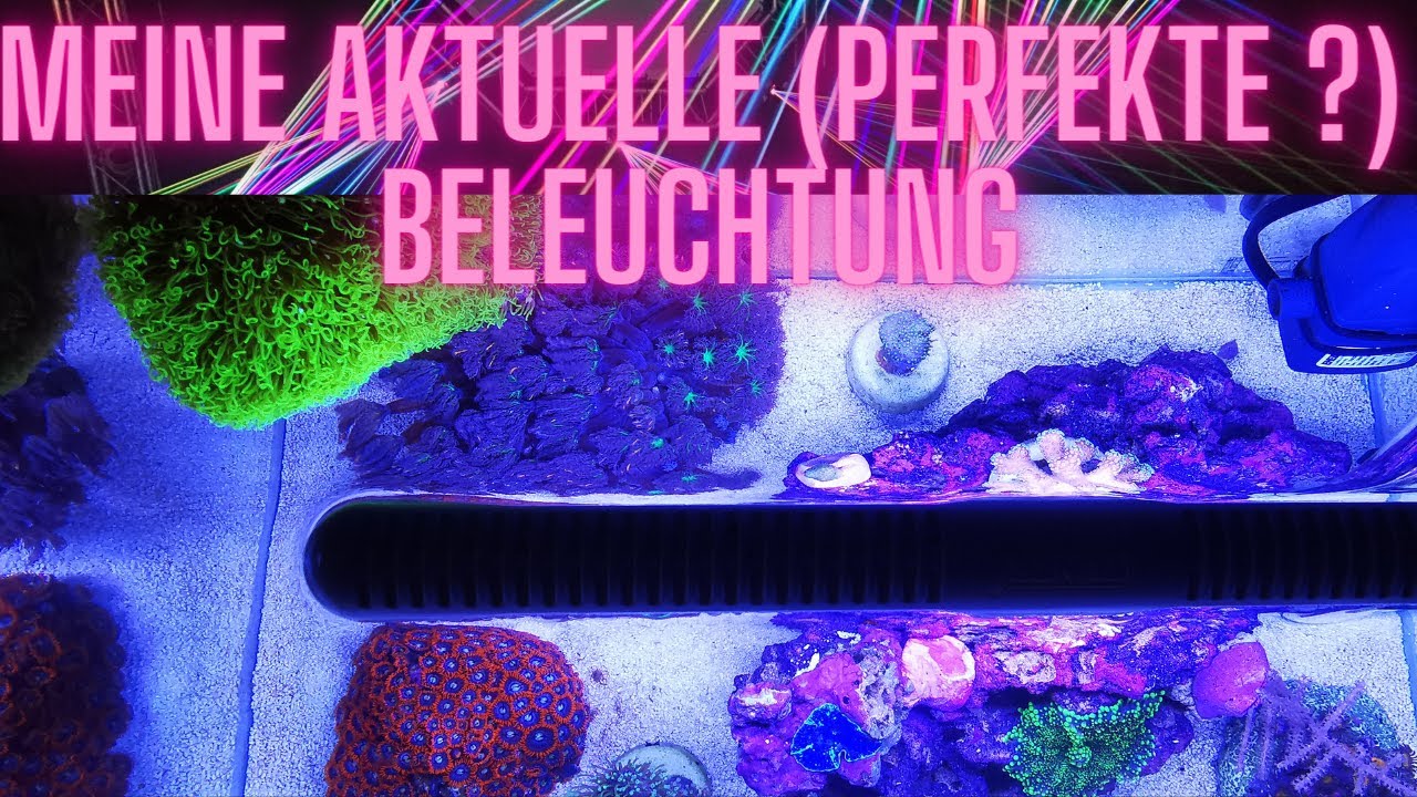Beste Nano Meerwasser Beleuchtung ?
