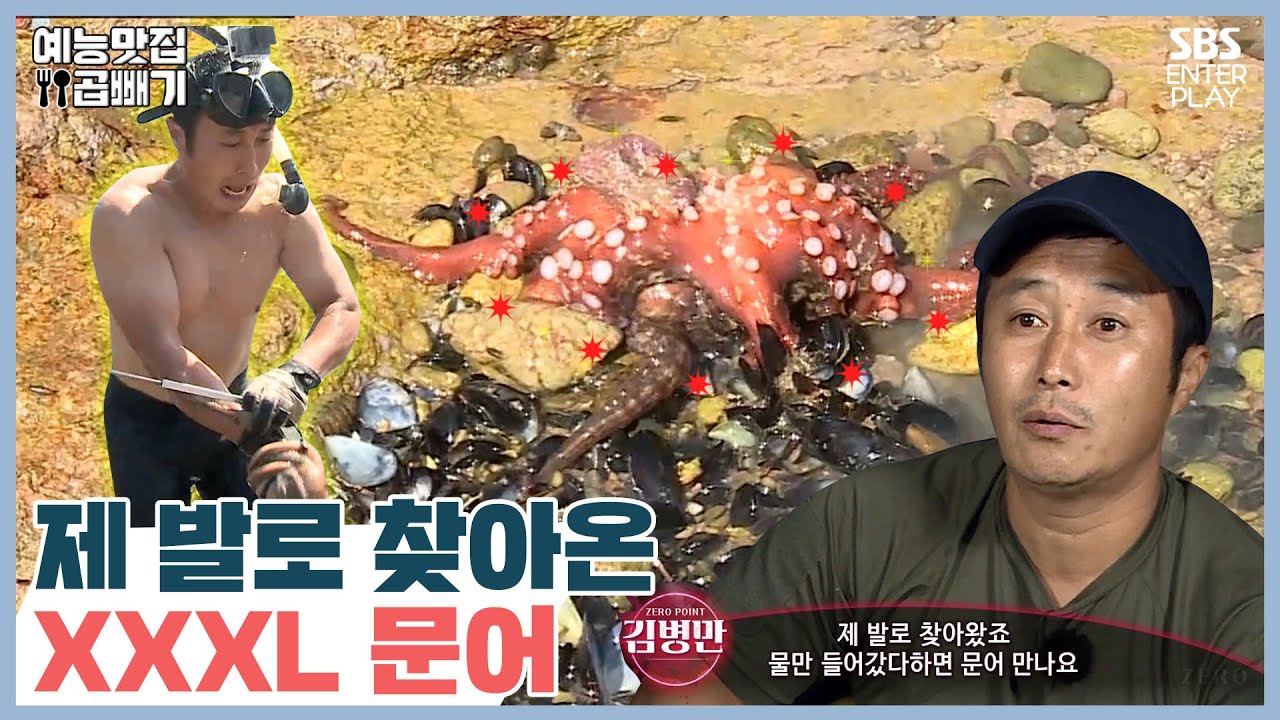 제 발로 찾아온 자이언트문어 [예능맛집X곱빼기/정글의 법칙]