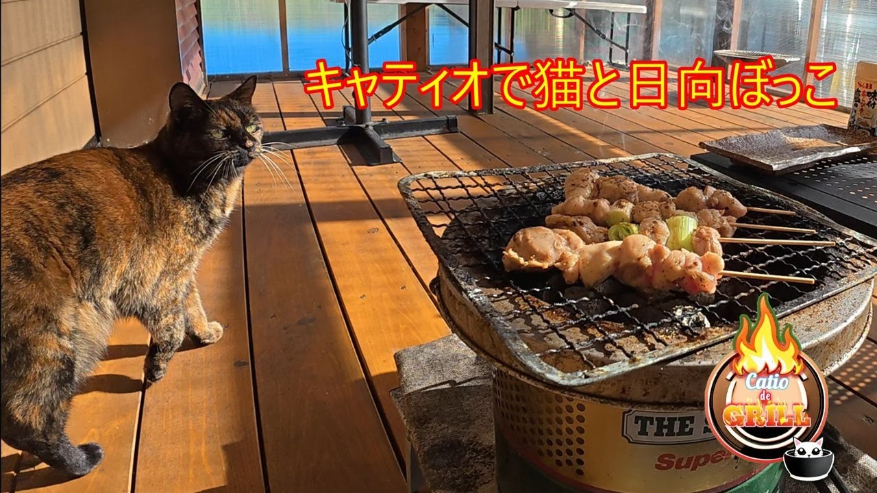 キャティオで猫と七輪を囲む