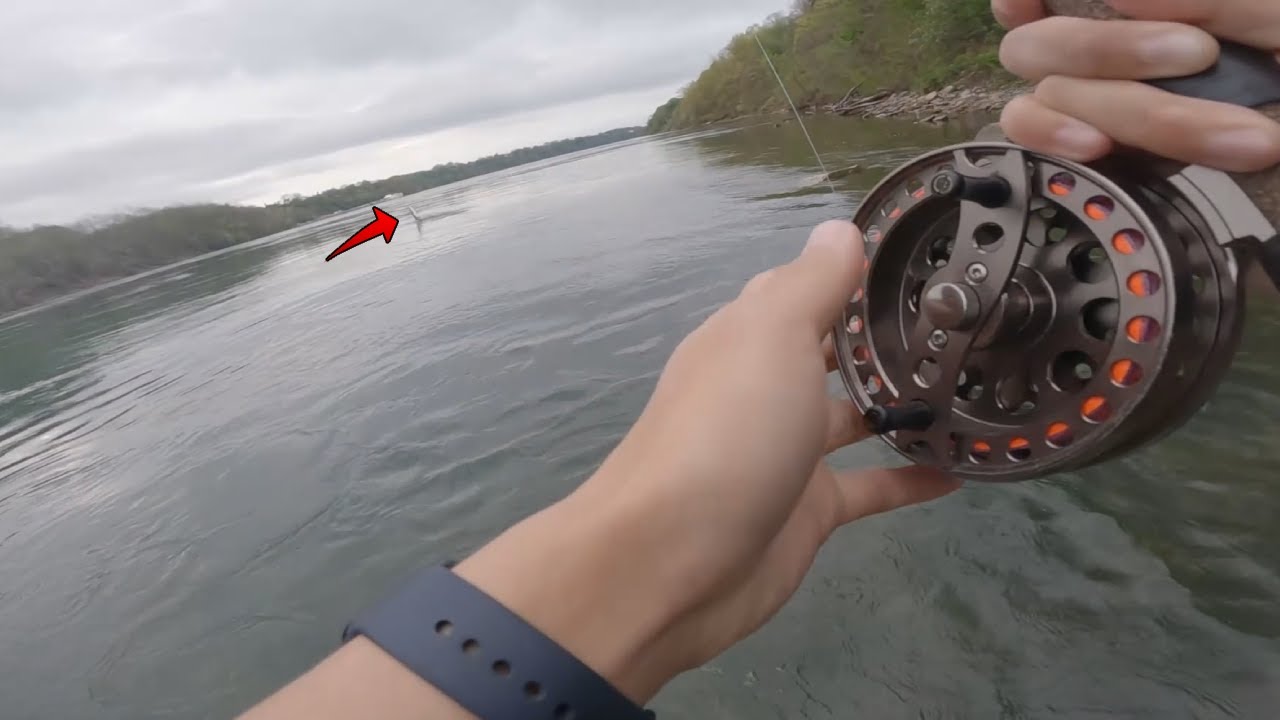 BIG trout from the NIAGARA RIVER | Centerpin Fishing