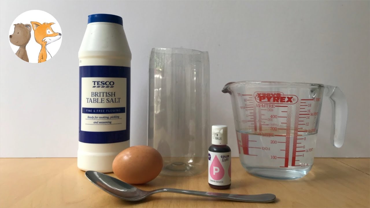 Floating Egg Experiment | #sciencewithkids #scienceathome