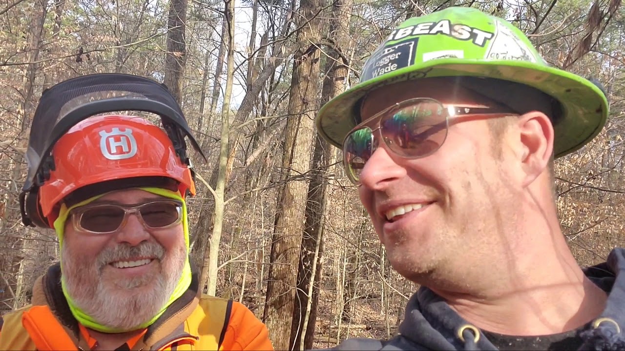 Timber Cutting class, I'm rusty!!!