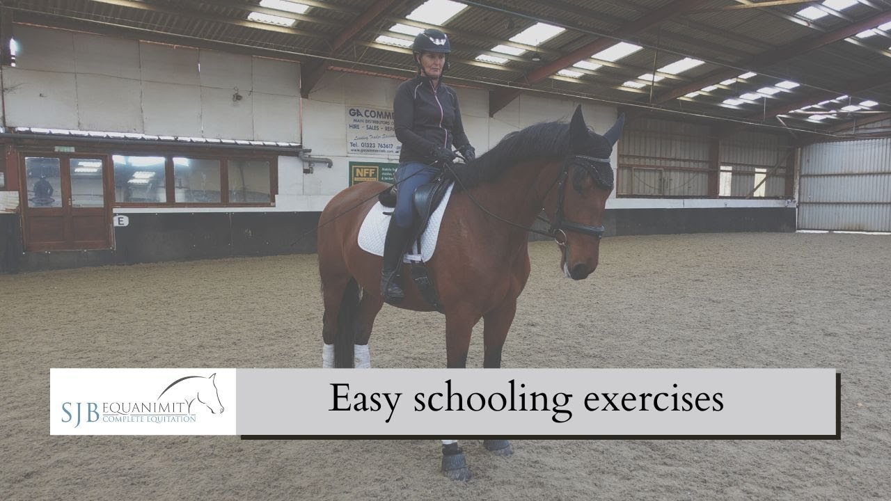 3 Easy to follow schooling exercises for your horse | SJB Equanimity