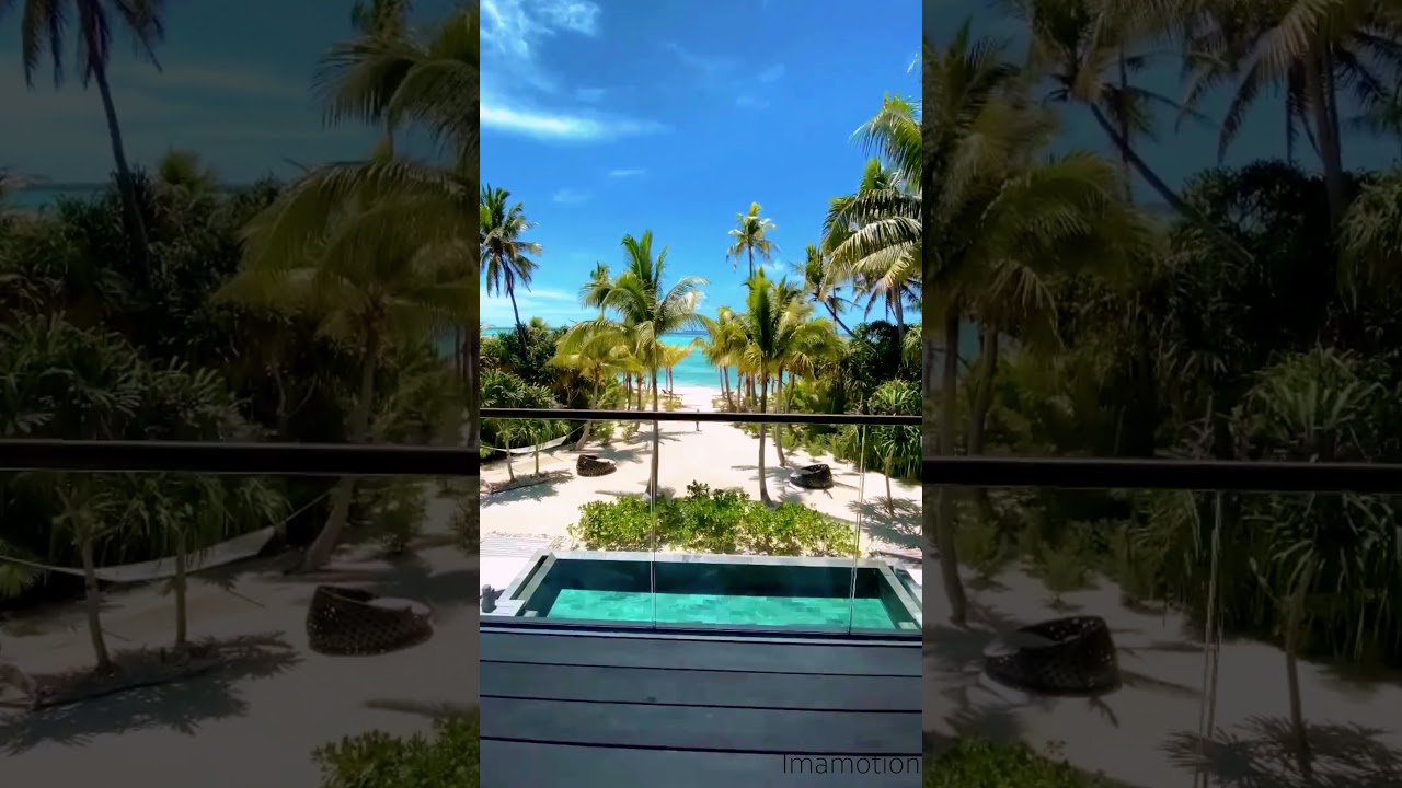 IMAM / Your inspiration #10 / #Maldives #motivation #Tiktok #Shorts