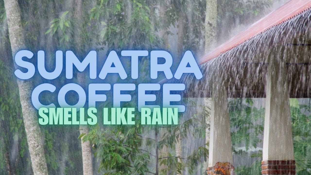 Sumatra Coffee: The Earthy Legend Explained
