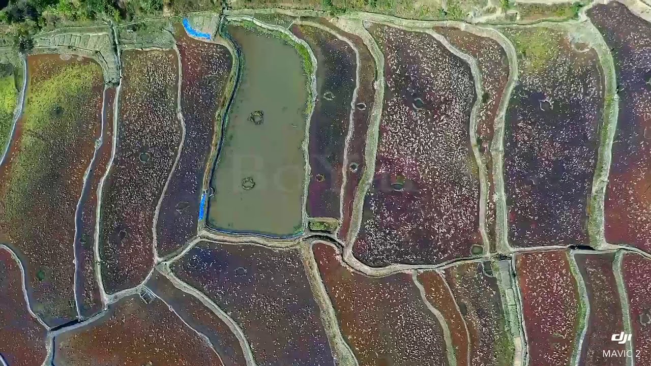 Purul village
