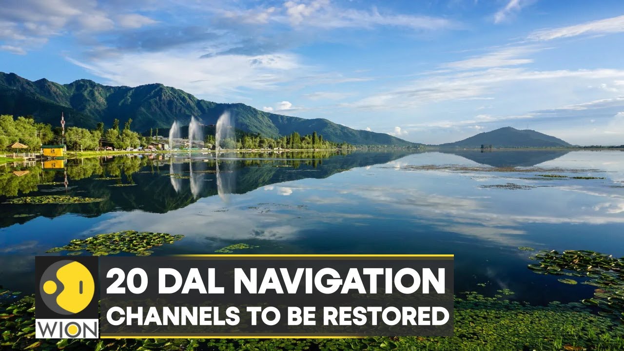 WION Climate Tracker: Massive restoration project underway | Latest World News | English News | WION