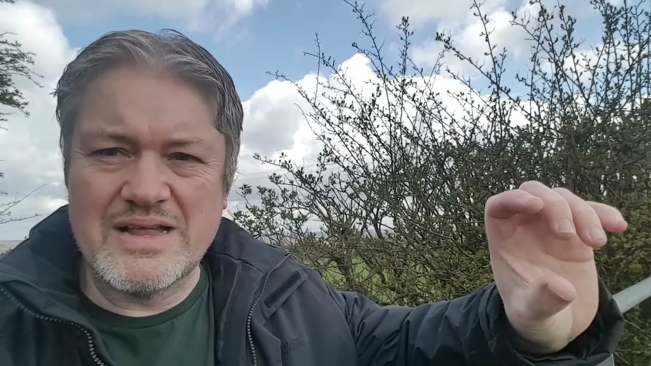 Do you use a Ron Ranson hake brush?