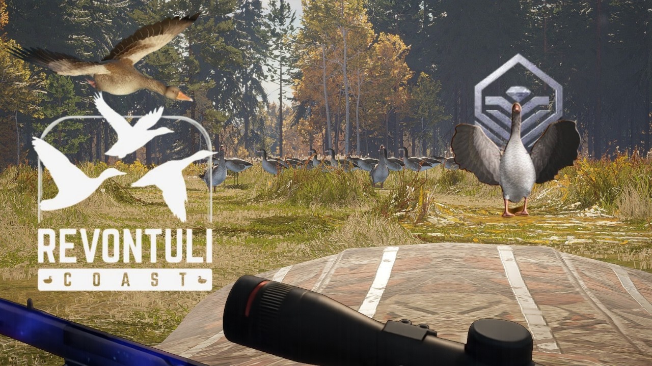 HUNTING FOR GREYLAG GOOSE | Bird Serie | Hunter Call Of The Wild