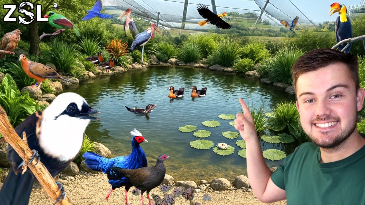 INSIDE ZSL Whipsnade's Bird Collection: Where Conservation Takes Flight