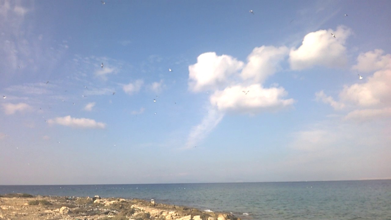 island fleves 2.500 nautika milia apo paralia vouliagmenis.