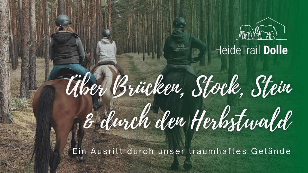 Herbstausritt Heide Trail Dolle