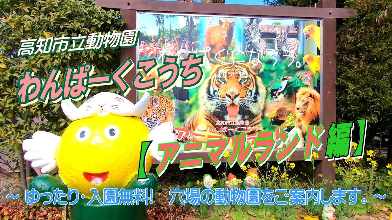 ～ゆったり・入園無料!、穴場の動物園をご案内します。～【わんぱーくこうち】〔アニマルランド編〕