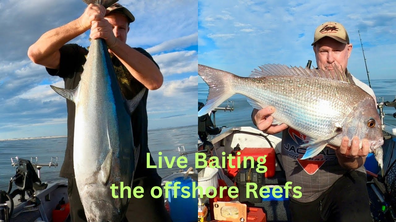 Epic battles, big fish on the offshore Reefs Newcastle 