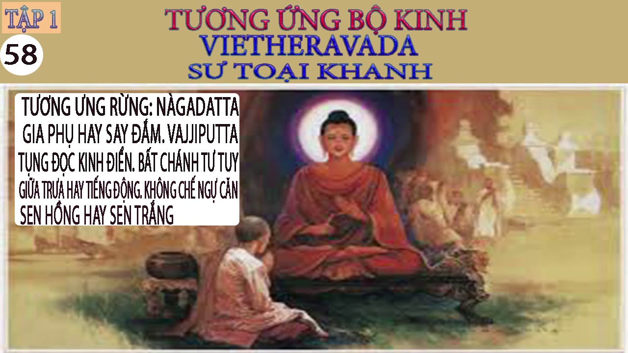 Sống Không Lệ Thuộc .. Sư Toại Khanh(hay và ý nghĩa)