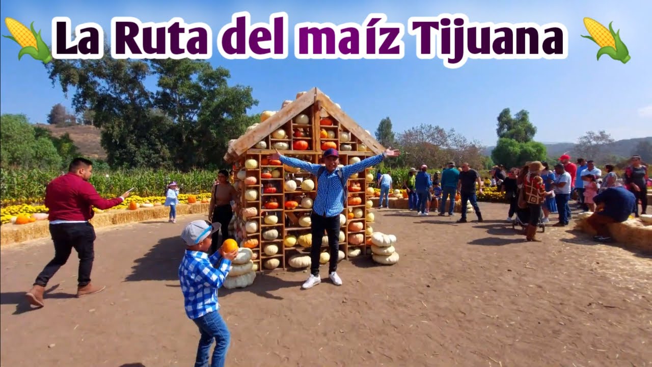 RUTA DEL MAÍZ en Tijuana | Rancho de las calabazas Tijuana
