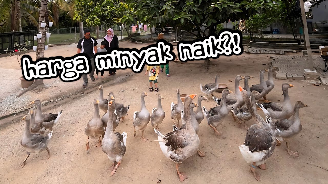 ✅️ Sebelum Terlambat! 5 Cara Selamatkan Diri Hadapi Ekonomi 2026